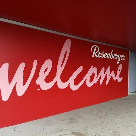 Hotel Rosenberger Motor-hotel Ansfelden